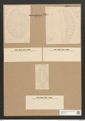 Diatomeae indet. (de-Toni-Nr.: Species 1796 ?) Zeichnungen Sammlung Grunow Nr. 3584 (NHMW-BOT-W0371173)